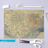 アジア42 薄葉紙 (クラフト)