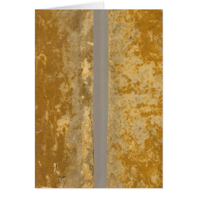 アジア46 (正面)