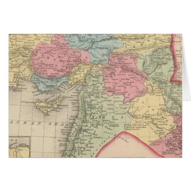 アジア7のトルコ (正面横)