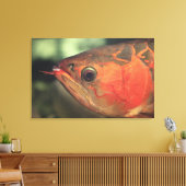 アジア・アローワナ キャンバスプリント (インサイチュ (リビング))