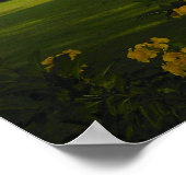 アジア、インド、ウッタル・プラデシュ、アグラ。ザタジ ポスター (角)