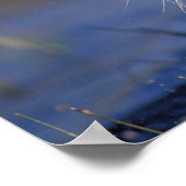 アジア、インド、ベンガルのタイガー・パンテラtigris) ポスター (角)