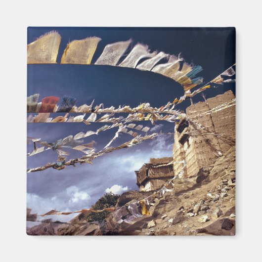 アジア、インド、ラダック、リー。リトルとして知られる マグネット (正面)