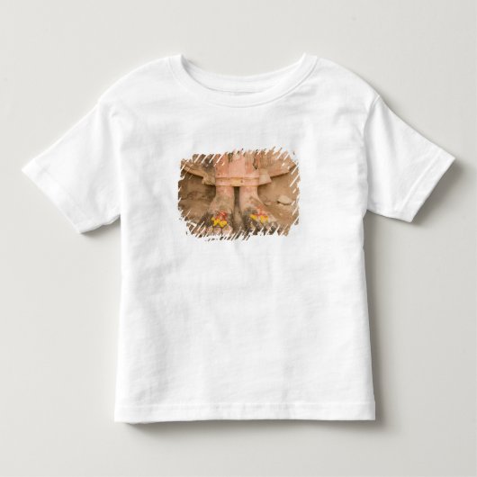 アジア タイ王国 スコータイ 仏陀の足と トドラーTシャツ (正面)