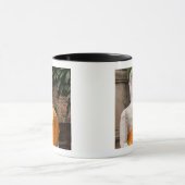 アジア、タイ、サイアム、アユタヤの仏 マグカップ (中央)