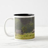 アジア、タイ、メイ·ホンソン、イネハット ツートーンマグカップ (左)