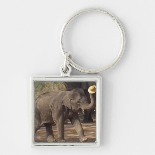 アジア、タイ、ランパンボーイング帽子と – タイ キーホルダー (正面)