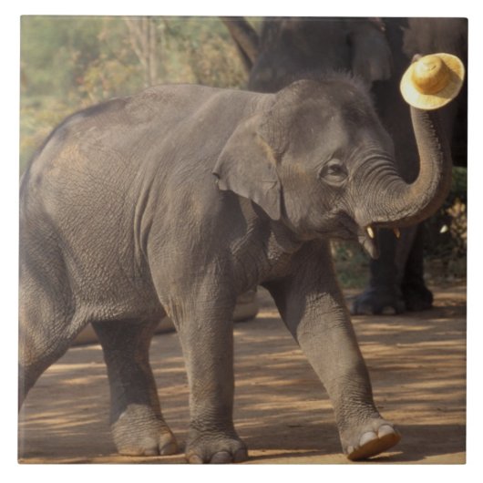 アジア、タイ、ランパンボーイング帽子と – タイ タイル (正面)