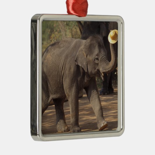 アジア、タイ、ランパンボーイング帽子と – タイ メタルオーナメント (右)