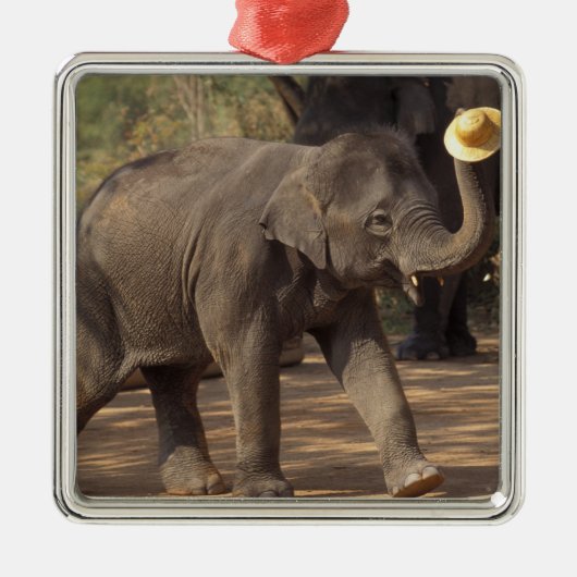 アジア、タイ、ランパンボーイング帽子と – タイ メタルオーナメント (正面)