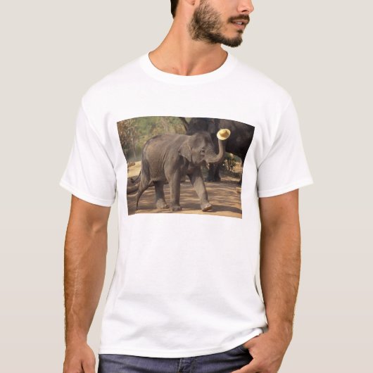 アジア、タイ、ランパーン 眠る象 - タイ Tシャツ (正面)
