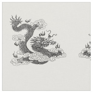 アジア·ドラゴン ファブリック