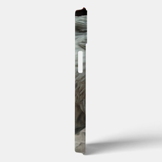 アジア、ベトナム。チャウドクのライオン彫刻 Case-Mate iPhoneケース (裏面 / 右)