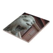 アジア、ベトナム。チャウ・ドクのライオンの彫刻 タイル (側面)