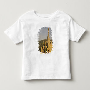 アジア ミャンマー インレー湖 パゴダ トドラーTシャツ