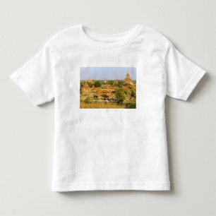 アジア ミャンマー (ビルマ) バガン (パガン)。牛が通り過ぎる トドラーTシャツ
