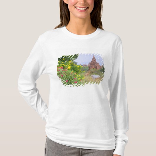 アジア ミャンマー (ビルマ) バガン (パガン) 牛 Tシャツ (正面)