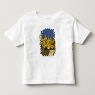 アジア、ミャンマー、ヤンゴン。シュエダゴン・パゴダにて トドラーTシャツ