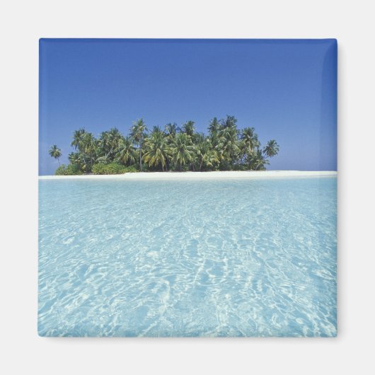 アジア、モルディブ、アリ環礁、無人島 マグネット (正面)