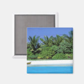 アジア、モルディブ。北男性環礁 マグネット (正面/裏面)