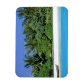 アジア、モルディブ。北男性環礁 マグネット (縦)