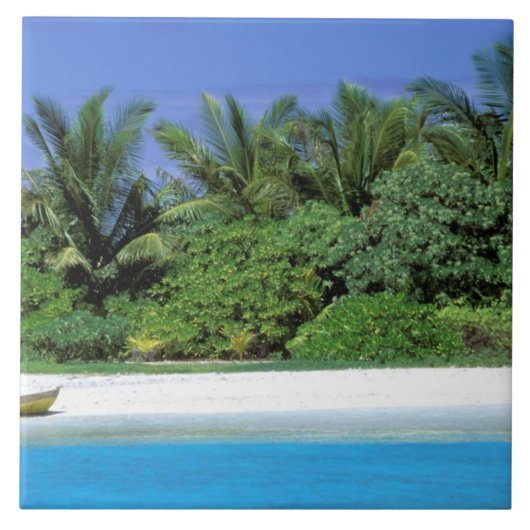 アジア、モルディブ。北雄環礁 タイル (正面)