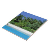 アジア、モルディブ。北雄環礁 タイル (側面)