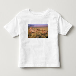 アジア、モンゴル、ゴビ砂漠、グレートゴビ トドラーTシャツ
