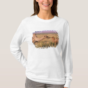 アジア、モンゴル、ゴビ砂漠、グレートゴビ Tシャツ