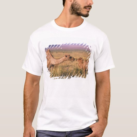 アジア、モンゴル、ゴビ砂漠、グレートゴビ Tシャツ (正面)