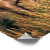 アジア、モンゴル、ゴビ砂漠、ゴビ素晴らしー ポスター (角)