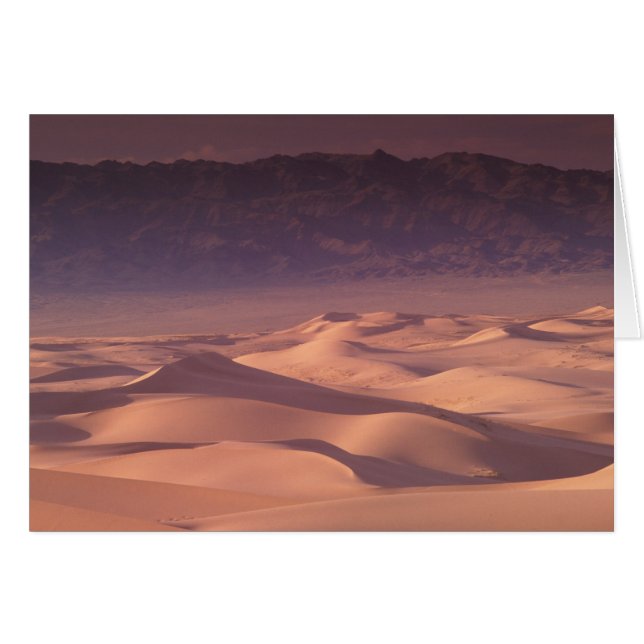 アジア、モンゴル、ゴビ砂漠、ゴビ·グルバンサイカン (正面横)