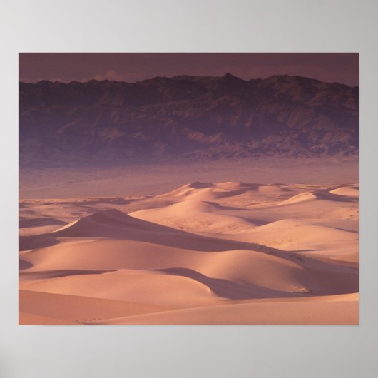 アジア、モンゴル、ゴビ砂漠、ゴビ・グルヴァンサイハン ポスター (正面)