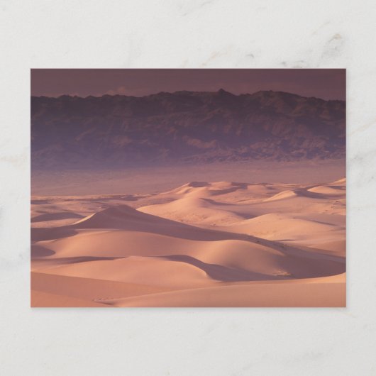 アジア、モンゴル、ゴビ砂漠、ゴビ・グルヴァンサイハン ポストカード (正面)