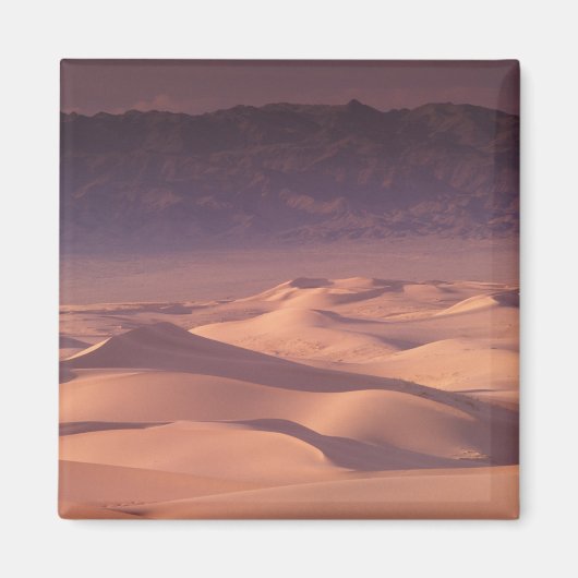 アジア、モンゴル、ゴビ砂漠、ゴビ・グルヴァンサイハン マグネット (正面)