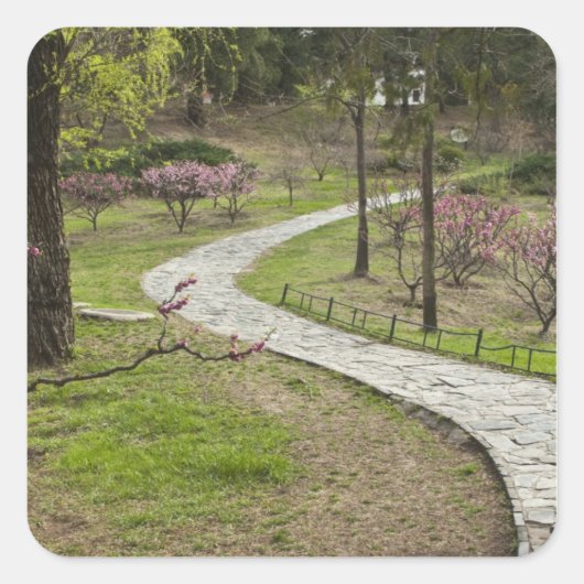 アジア、中国、北京。春の花 スクエアシール (正面)