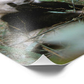 アジア、中国、成都。ジャイアントパンダ保護区 フォトプリント (角)