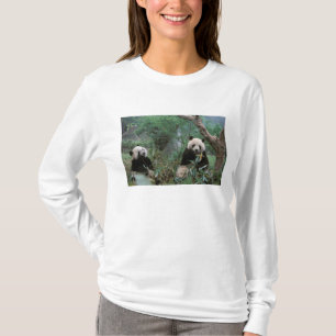 アジア 中国 成都 大熊猫研究中心・臥竜大熊猫保護研究中心 Tシャツ