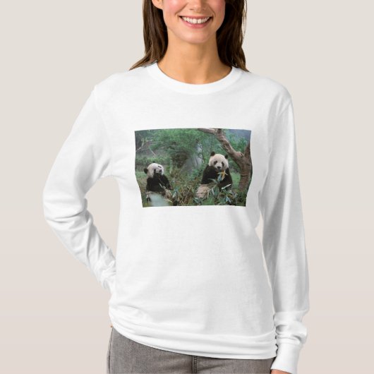 アジア 中国 成都 大熊猫研究中心・臥竜大熊猫保護研究中心 Tシャツ (正面)