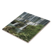 アジア、中国、雲南省、クイン、ルーピン タイル (側面)