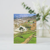 アジア、中国、雲南省、ホンゲ。近くの棚田 ポストカード (スタンド正面)