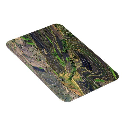 アジア、中国、雲南省、ホンゲ。近くの棚田 マグネット (右側)