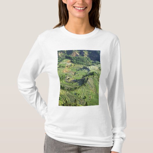 アジア、中国、雲南省、元陽県。 緑の Tシャツ (正面)