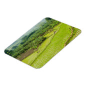 アジア、中国、雲南省、本江。バナナ マグネット (左側)