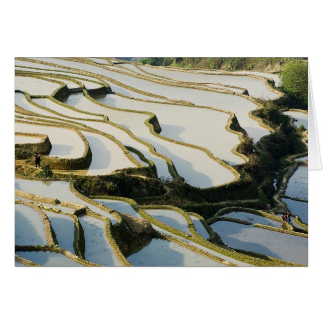 アジア、中国、雲南省、湯陽郡。 (正面横)