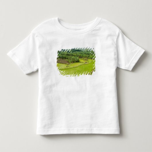 アジア、中国、雲南省、紅河州。バナナ トドラーTシャツ (正面)