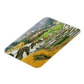 アジア、中国、雲南省、習県、江沢民。 マグネット (左側)