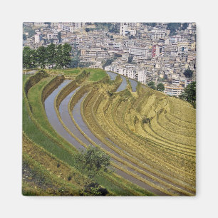 アジア, 中国, 雲南省, 金平県. 金平県 マグネット