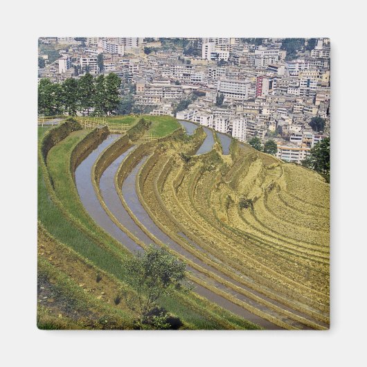 アジア, 中国, 雲南省, 金平県. 金平県 マグネット (正面)