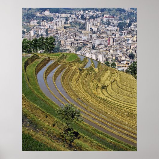アジア、中国、雲南省、金平。仁平 ポスター (正面)